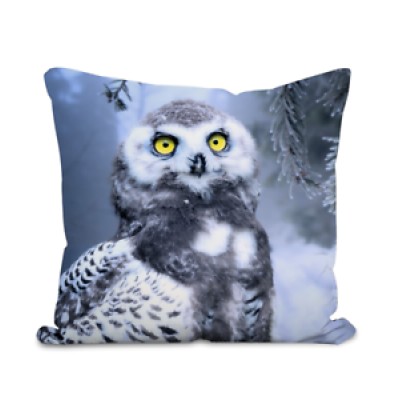 Owl In Woodland 100% Polyester Velour Cushion - Original Artwork     202402952436